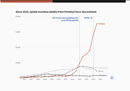 Beyond Crisis: Lives Saved