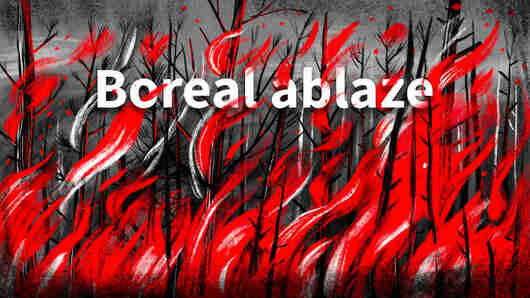 Boreal Ablaze