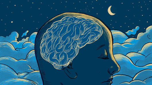 Journey into Sleep