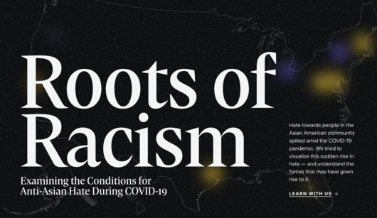 The Roots of Racism